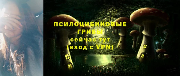 PSILOCYBIN Абаза