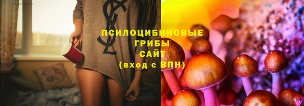 PSILOCYBIN Абаза