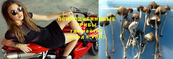 PSILOCYBIN Абаза